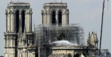 Bees living on Notre-Dame cathedral roof survive blaze