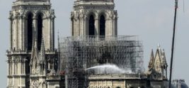 Bees living on Notre-Dame cathedral roof survive blaze