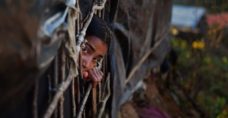 Rohingya return to Myanmar: Confusion and fear in refugee camps